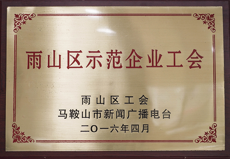 2016年榮獲雨山區(qū)示范企業(yè)工會