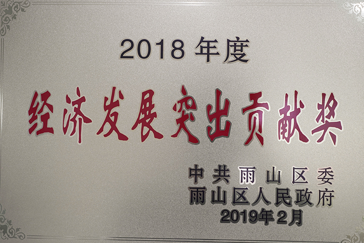 2018年度榮獲經濟發(fā)展突出貢獻獎